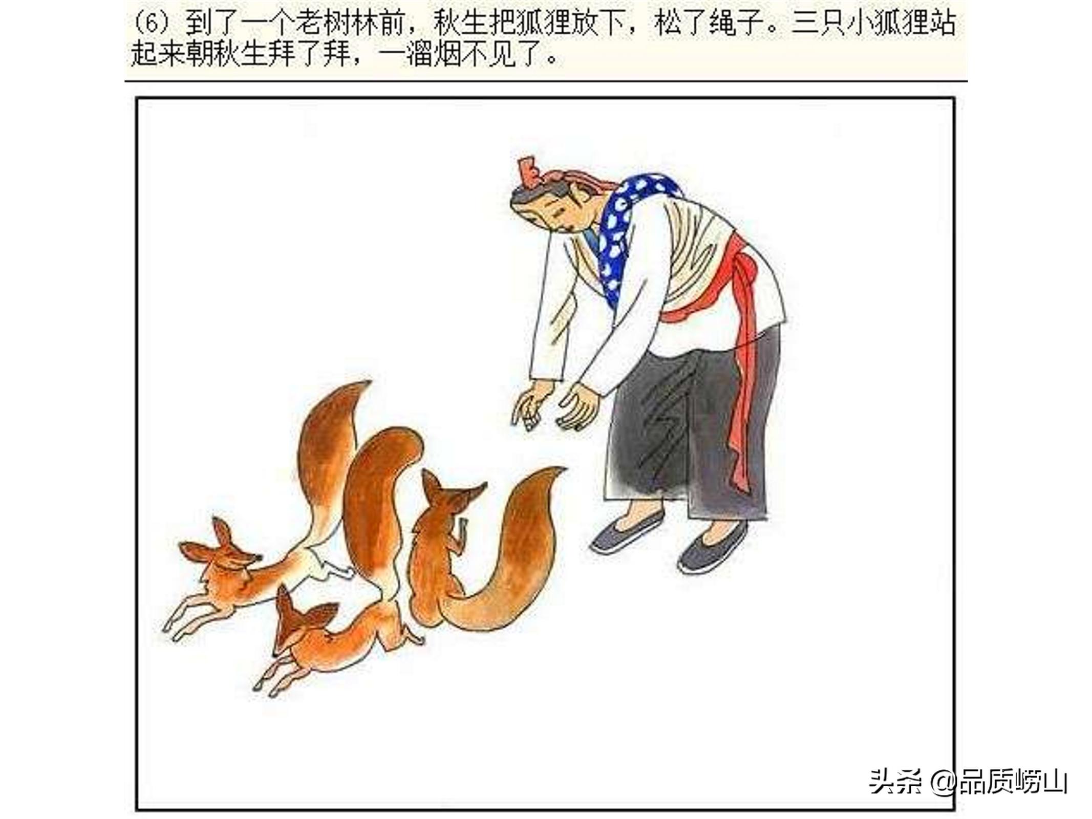 崂山民间故事之崂山狐狸的故事