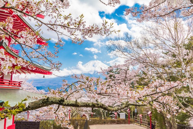 世界杯抽签德国西班牙日本同组,西班牙德国日本