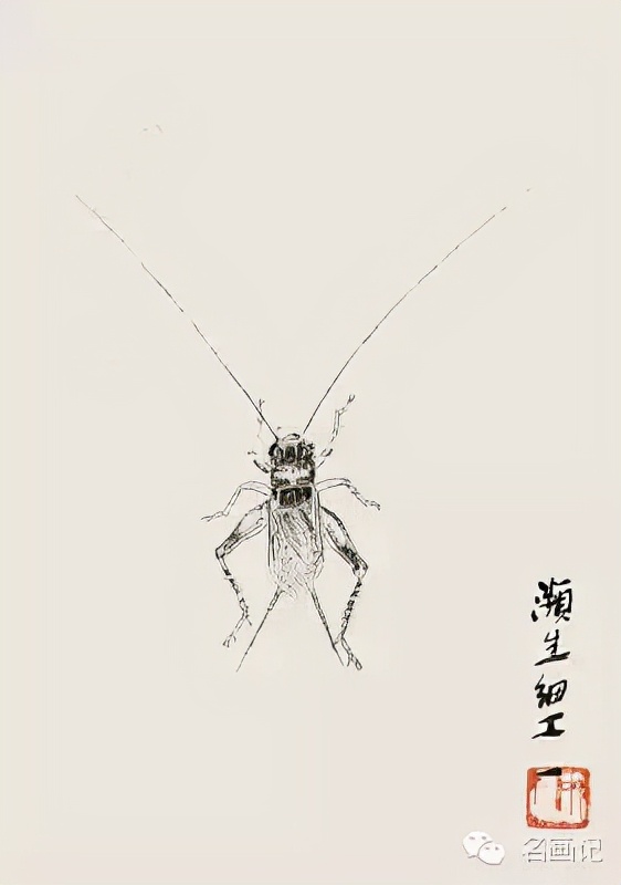 齐白石中国画艺术鉴赏,中国画齐白石作品