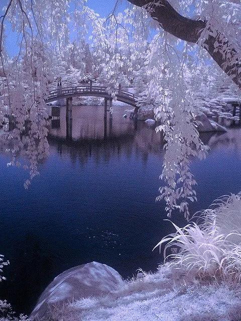 福到了，五福来敲门，跟这五件事有关