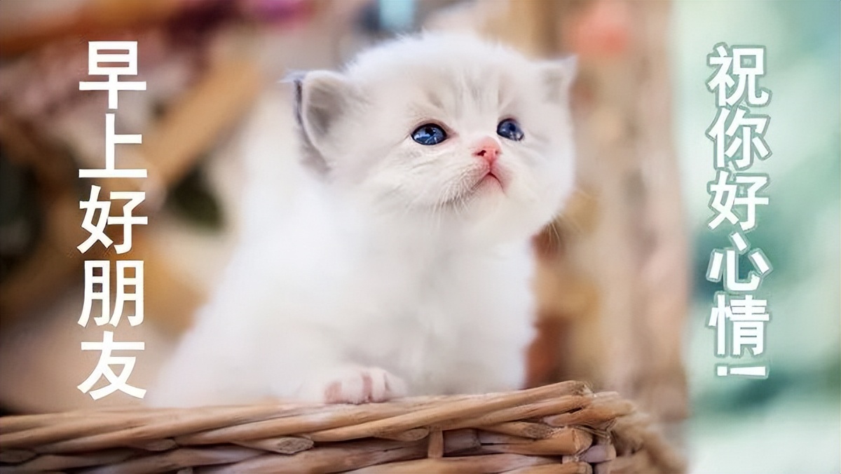 早上好天天问候暖人心,知心人早上好温馨问候语