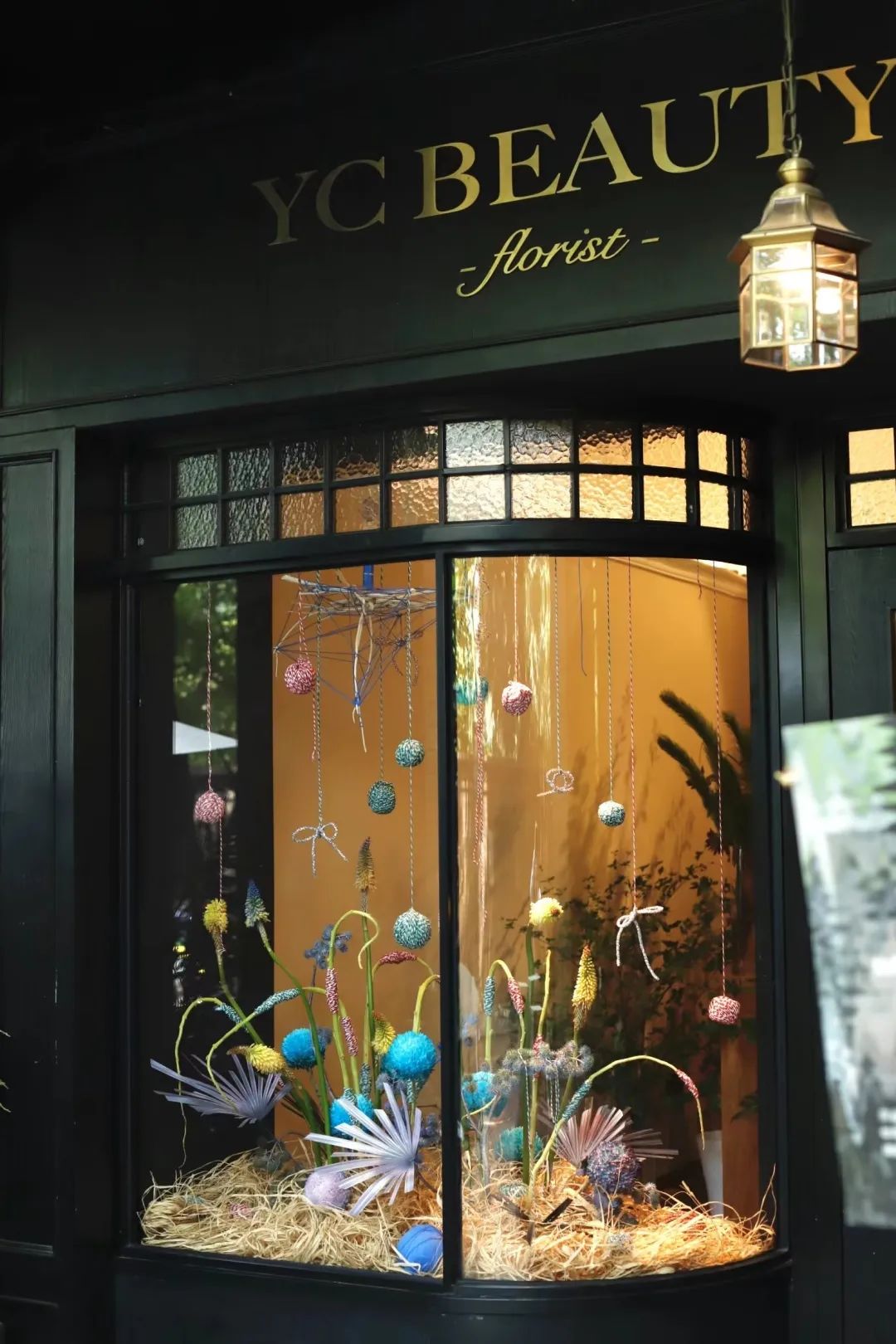 “野生”风格受欢迎——成都30平方米小花店，一年收入250万元