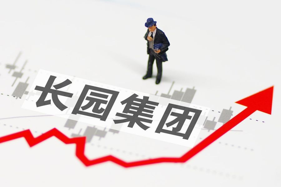 长园集团：投资者的黄金选择，未来增长的新方向