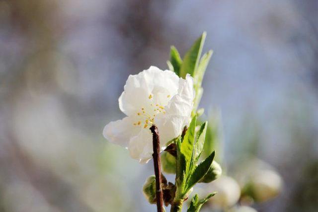 男人几天不联系聪明的你怎么回答,男人要是不想和女人联系说明什么