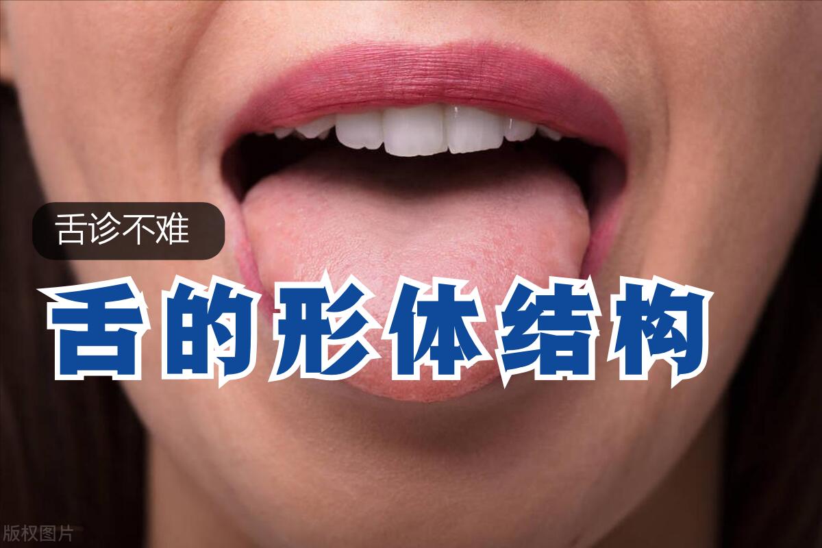 全息舌诊舌形分几种,舌诊八种舌象及解释