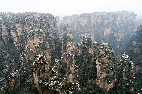飞雪迎春山花烂漫,飞雪迎春绽玉蕊