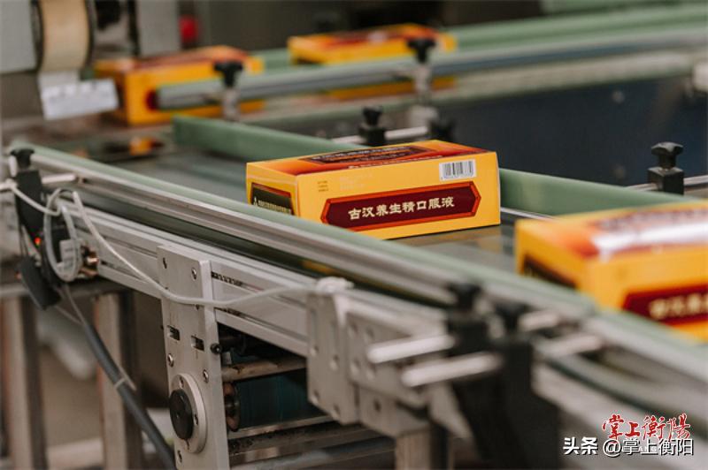 衡山康养,南岳衡山国际中医康养产业园