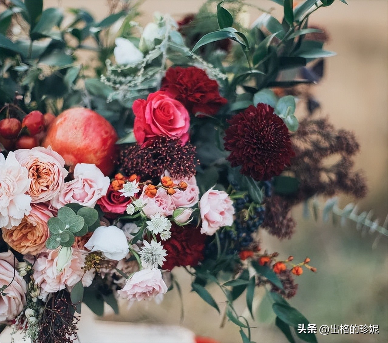 秋天最美的花有哪些,秋天里最美的花朵