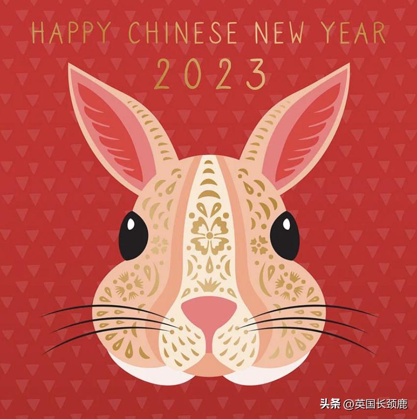 有哪些奇葩的饺子,全国奇葩美食大赏