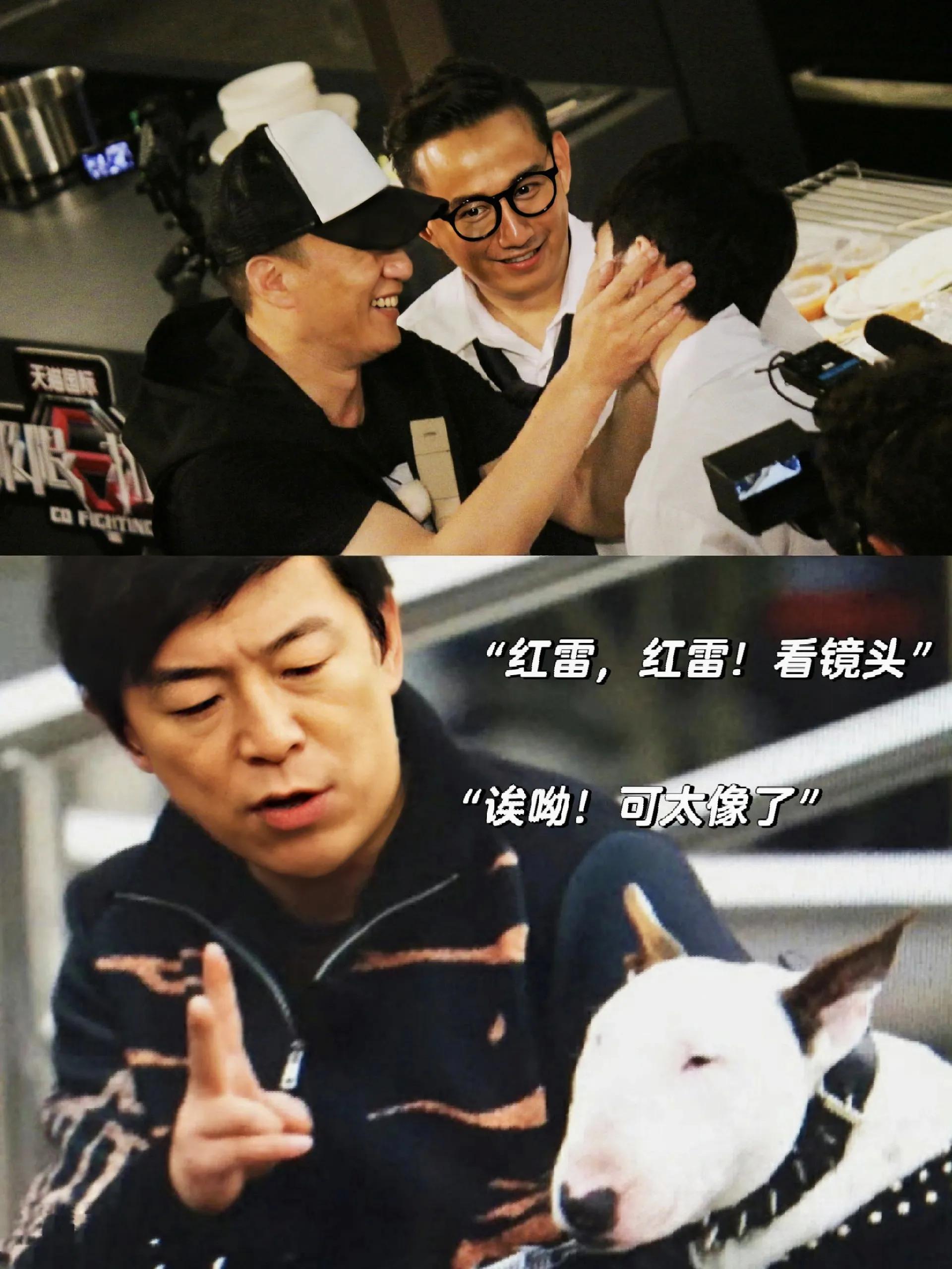 向往的生活黄磊说我和你们都不熟,向往的生活第七季黄磊说木心