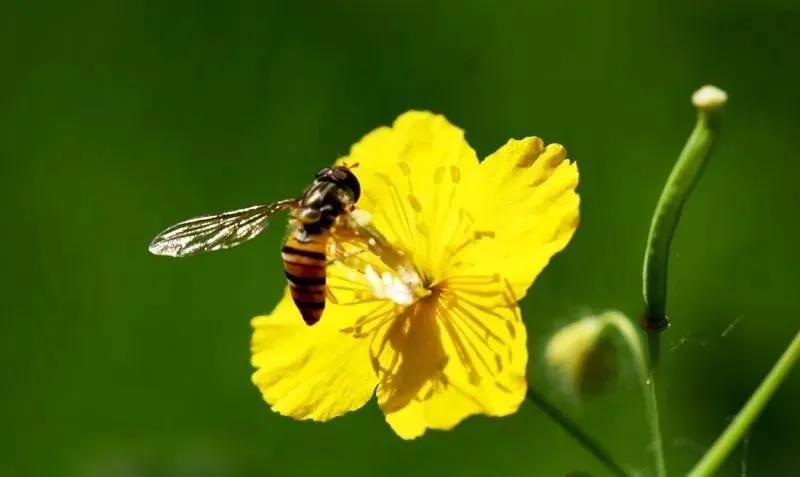 浣犳兂瑕佷慨鏀瑰摢绉嶇被鍨嬬殑鏂囩珷,浣犵殑鏂囩珷