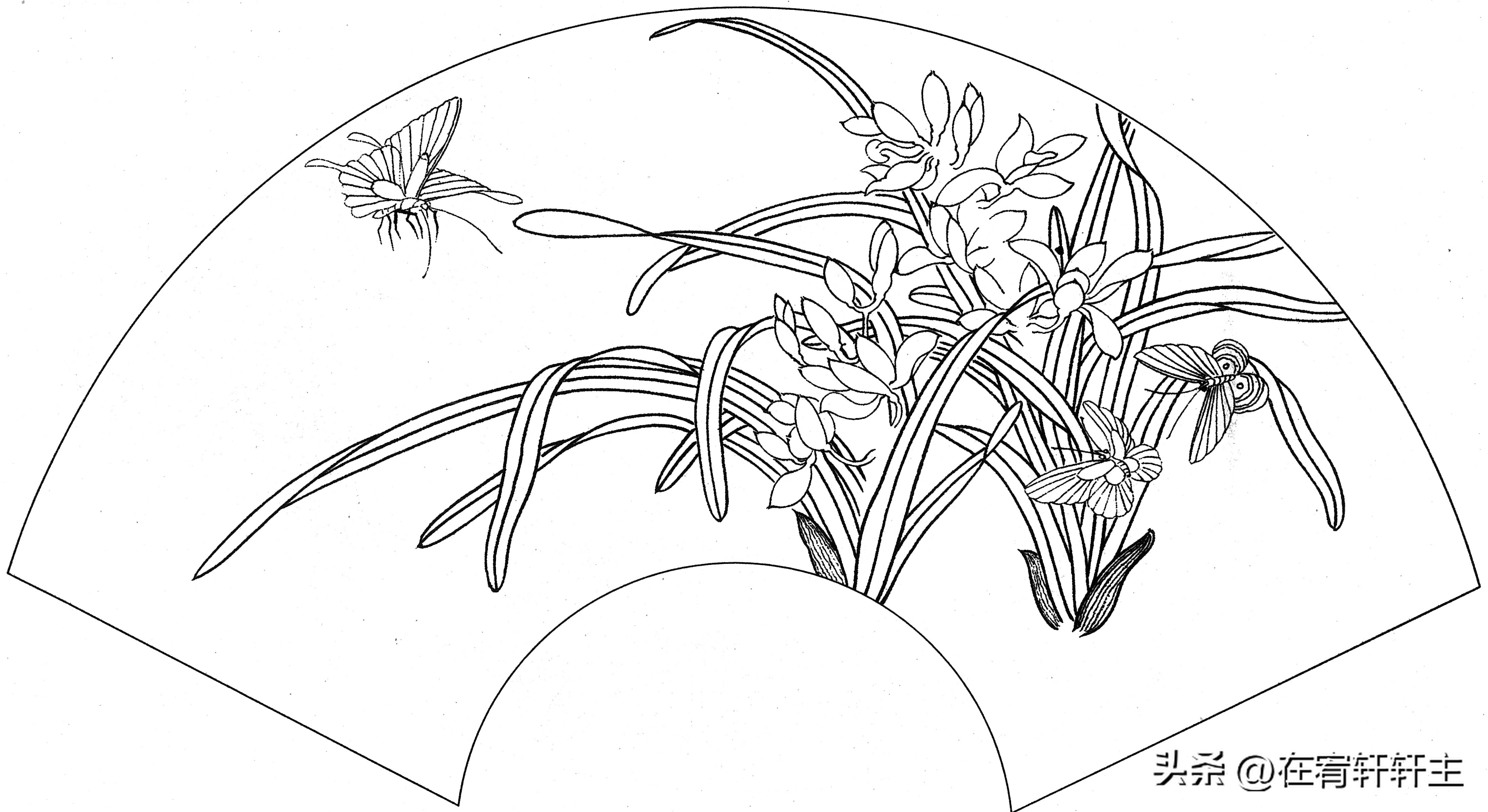 工笔白描祥云图案扇面,工笔扇面葡萄白描图片