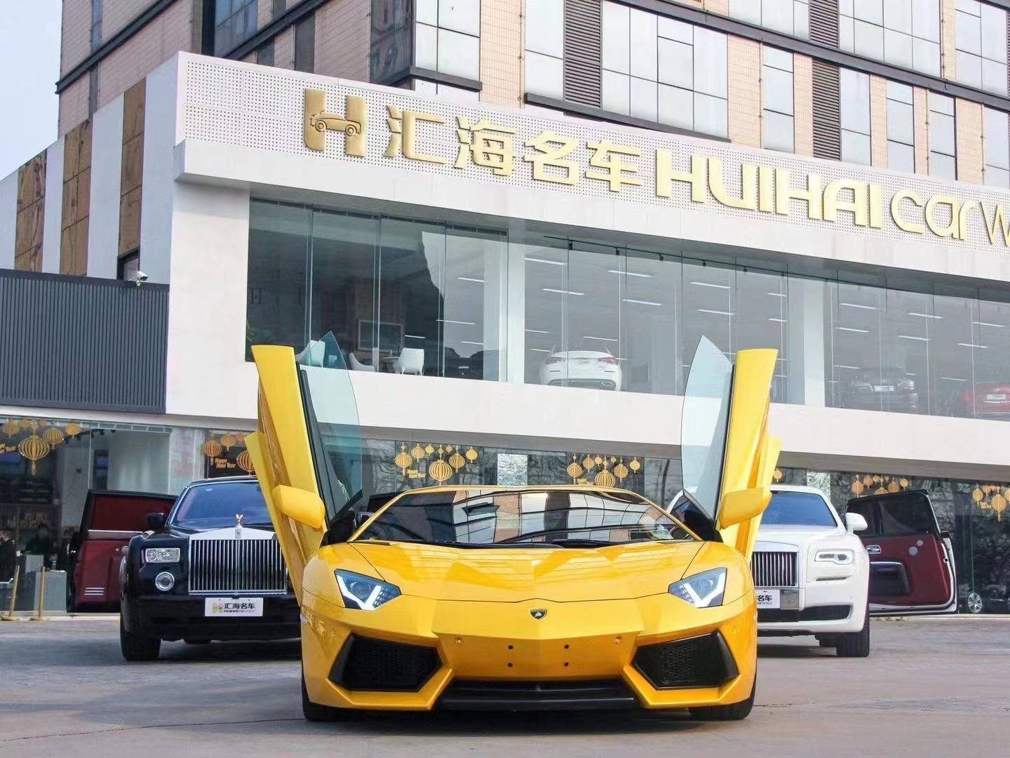 汇海名车董雪家里是做什么的,唐山汇海名车老板董雪视频