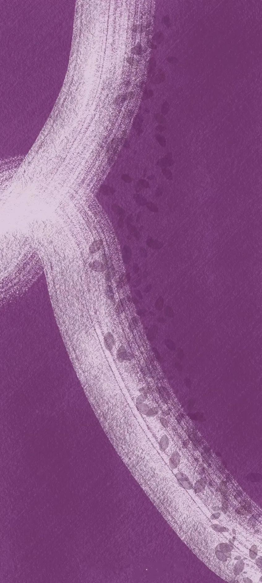 紫色异域风情古风,情调紫色