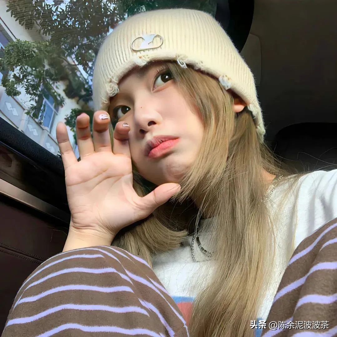 可爱的猫咪头像和小狗头像,团子头像可爱微信头像