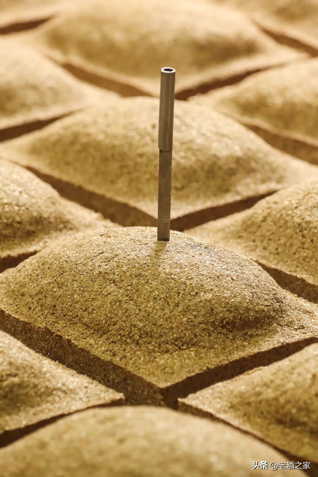 在茅台酒厂上班是什么体验,茅台酒厂上班工资多少