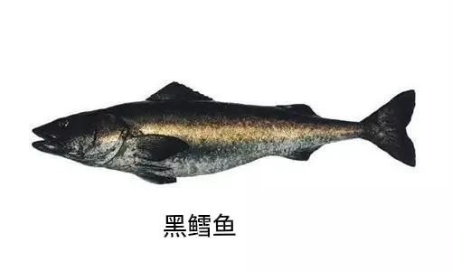 鳕鱼辅食8-9个月鳕鱼肠,鳕鱼宝宝的家常做法