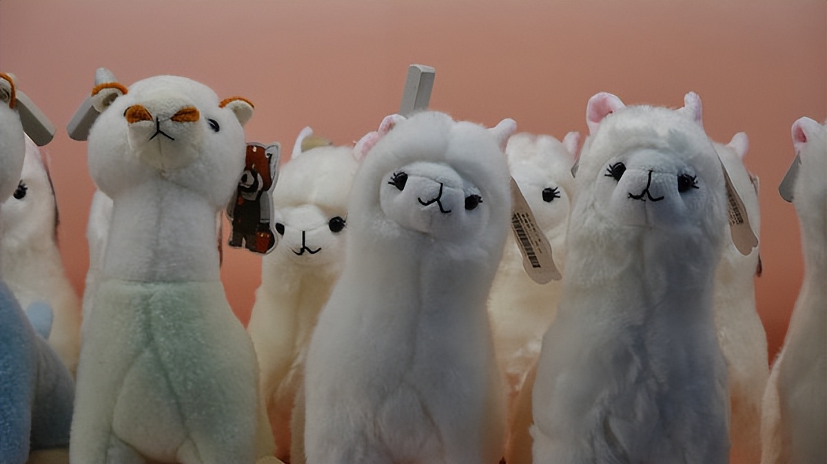 在江苏的“绿林仙海”中，寻找侠气与柔情