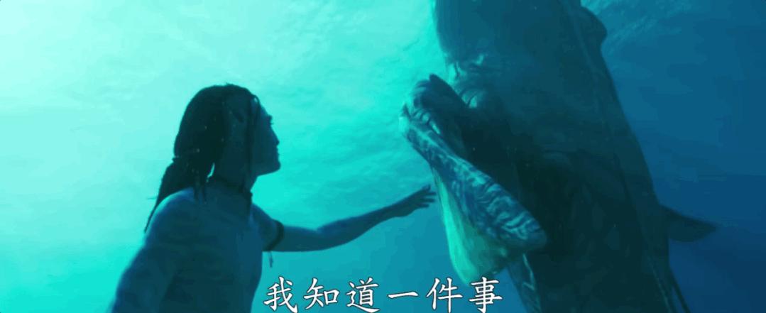 阿凡达版熊孩子历险记玩砸了？卡梅隆不是救世主