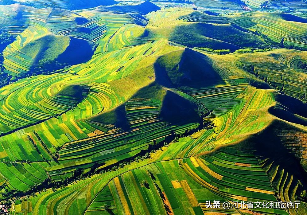 向着坝上草原出发,向草原出发的视频