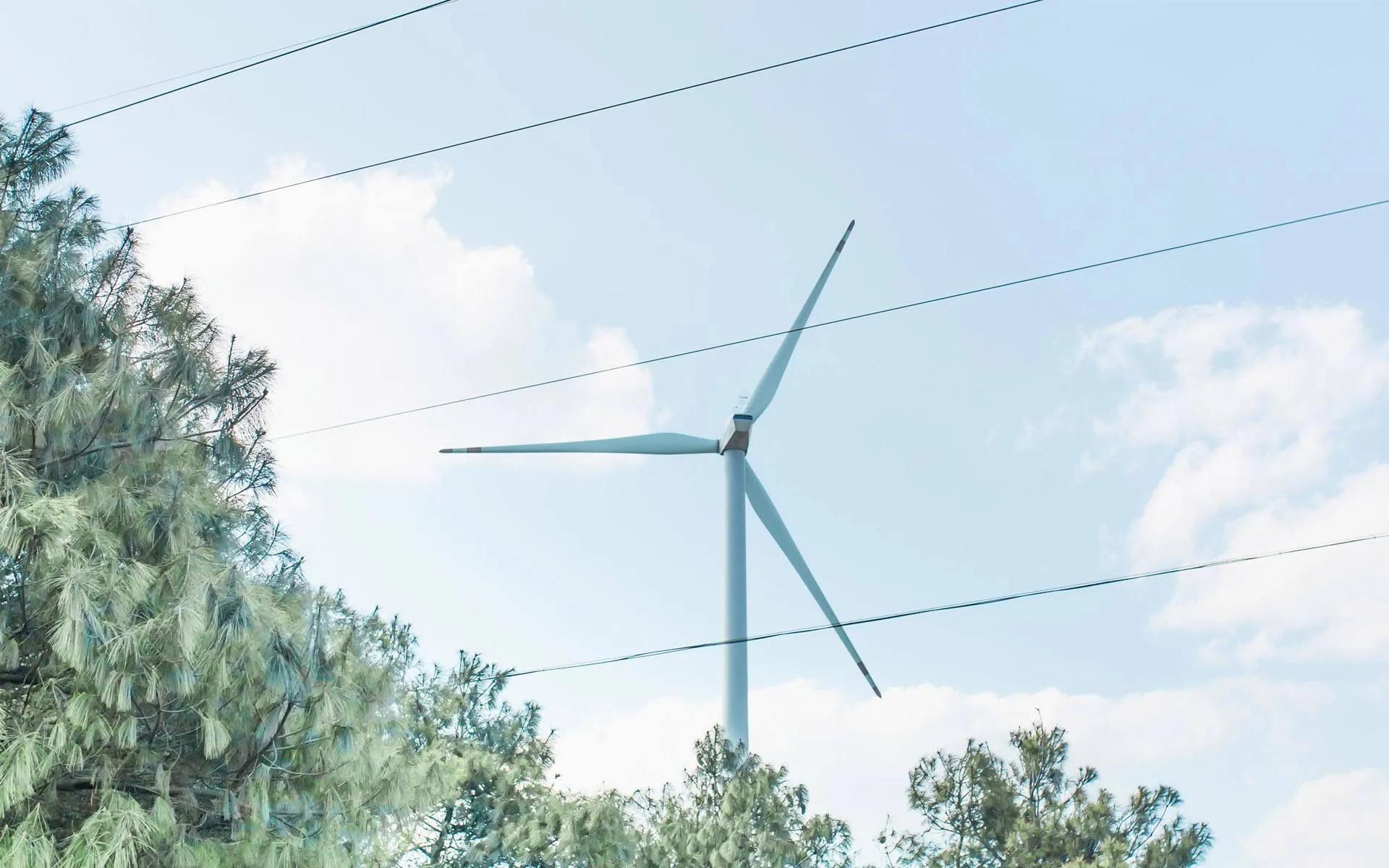 中国公务员的工作现状,公务员现状大揭秘