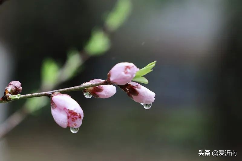 100个描写天气的词语,20个描写天气的雅称