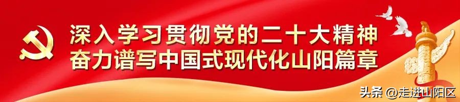 江苏省长杯足球初中组冠军奖牌,江苏省省长杯小学组冠军