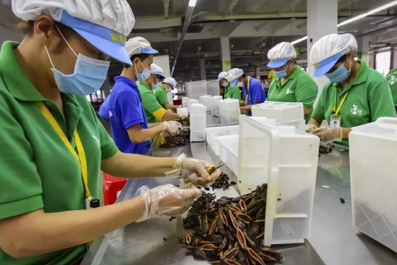 槟榔大王分家产,槟榔大王死亡之谜最新判决