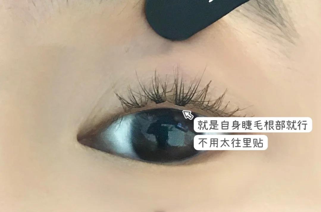 怎么弄假睫毛视频教程,新手种植睫毛假睫毛练习视频