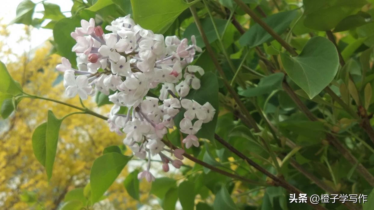 养生方面学哪些最赚钱,养生最赚钱的项目是什么