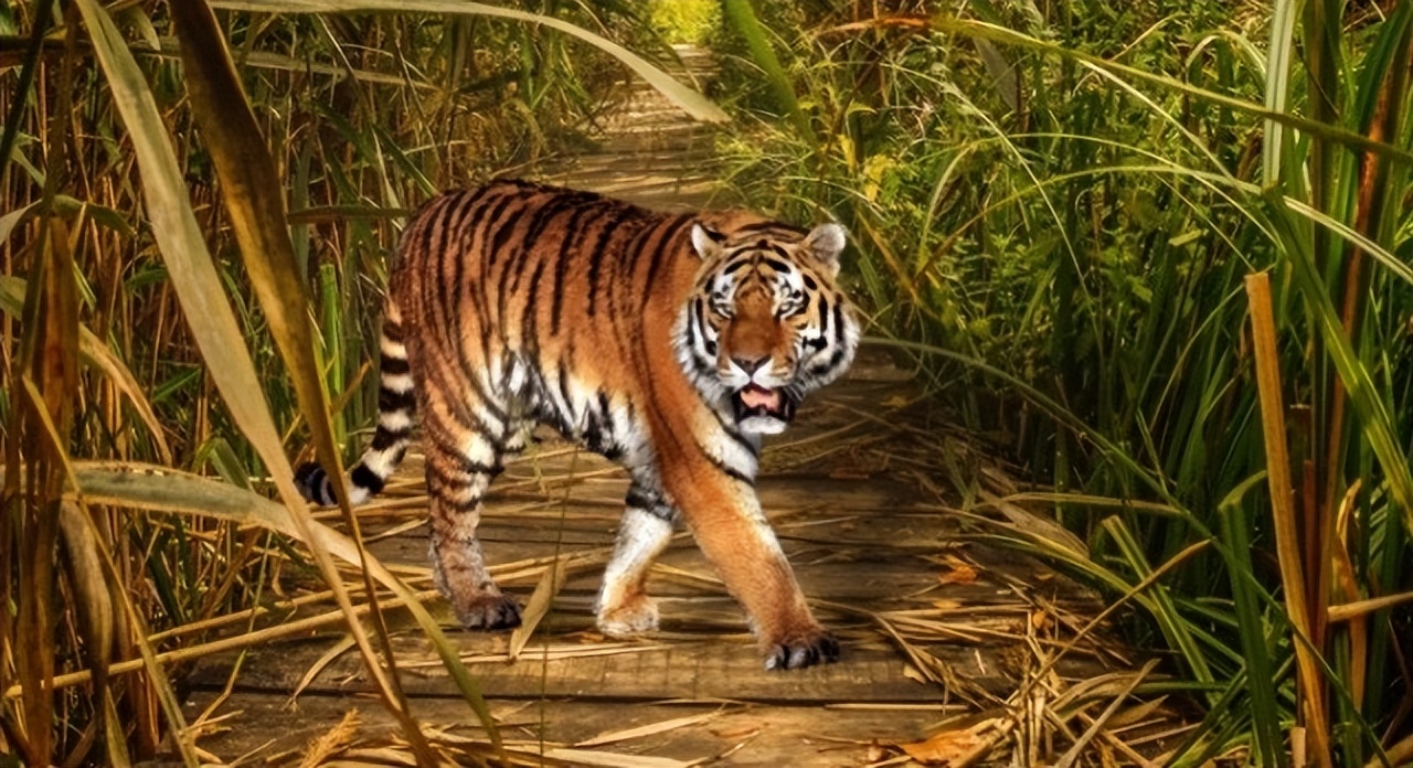 高高的紫云山,我们的青春故事曾在这里演绎