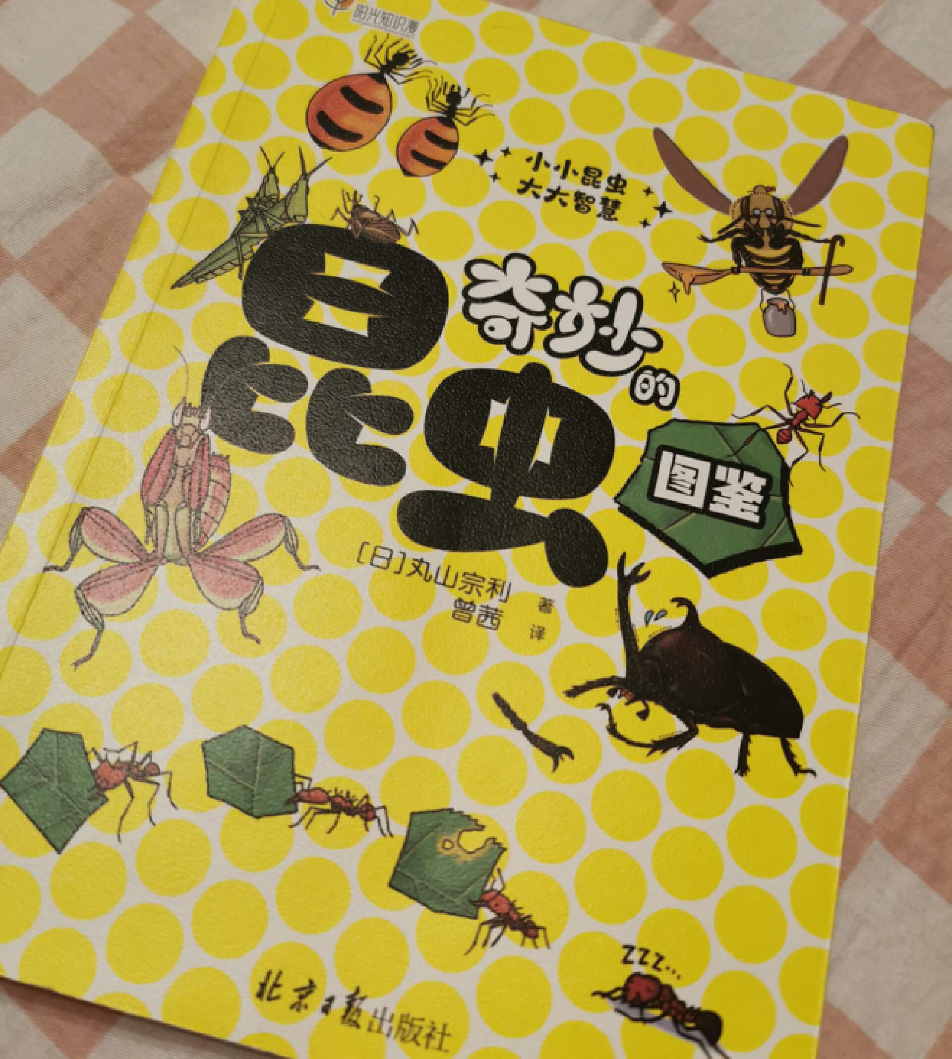 趣味漫画展现昆虫的神奇生活