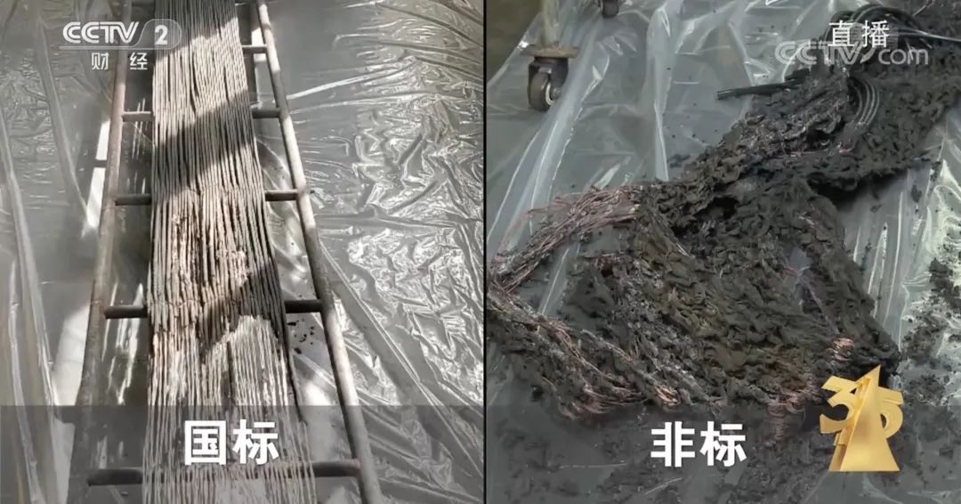 今年3·15晚会,画面“不忍直视”,中国人只骗中国人?