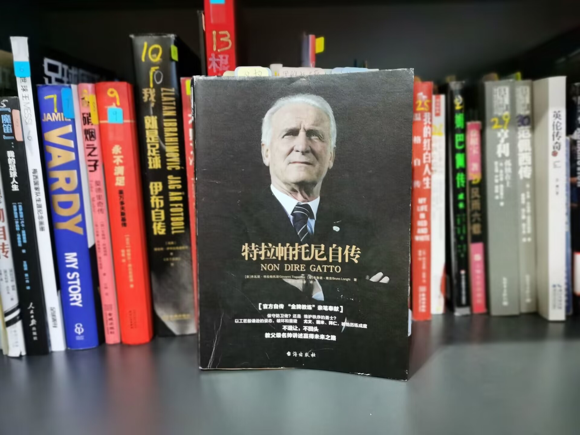 特拉帕托尼自传,狠看