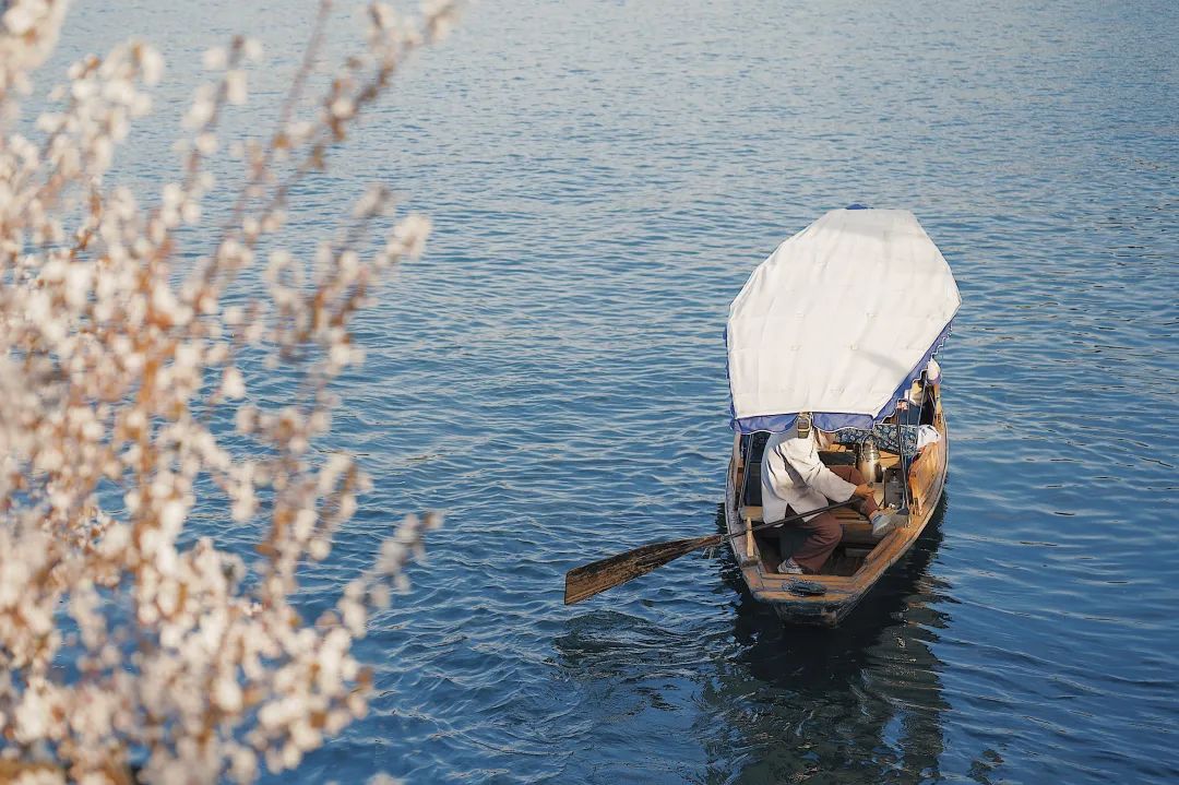 听我的，四月的杭州才是浪漫天花板。