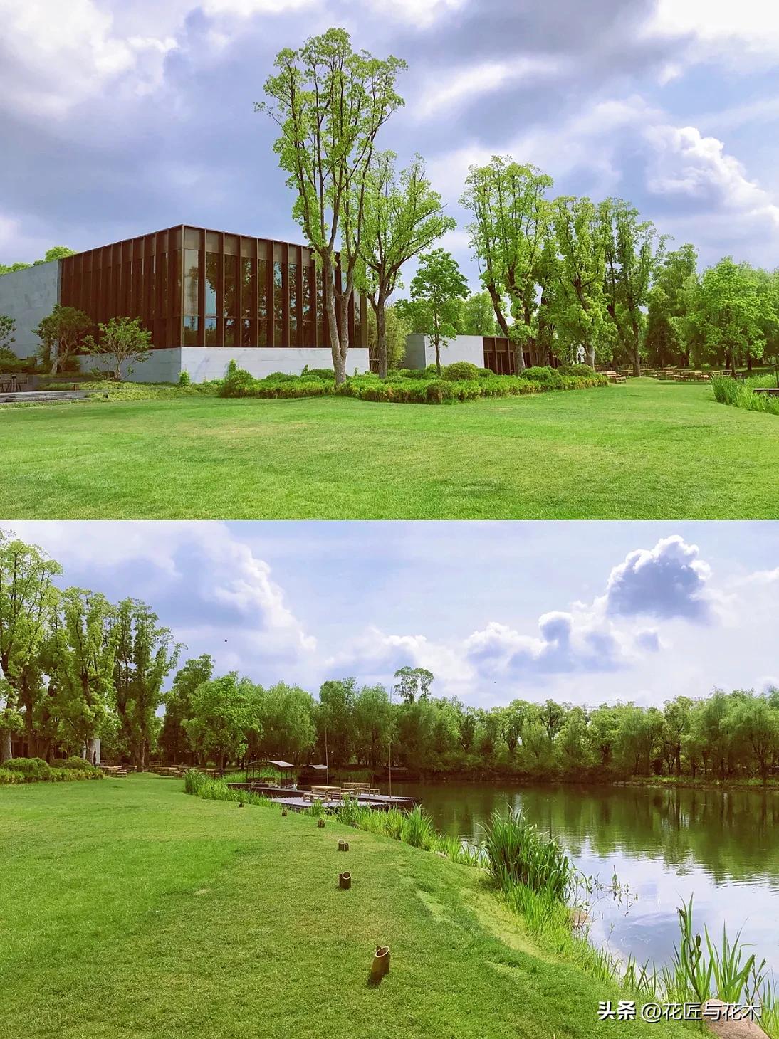 养云安缦上海云乡星愿,养云安缦·发现之旅·奔赴春天