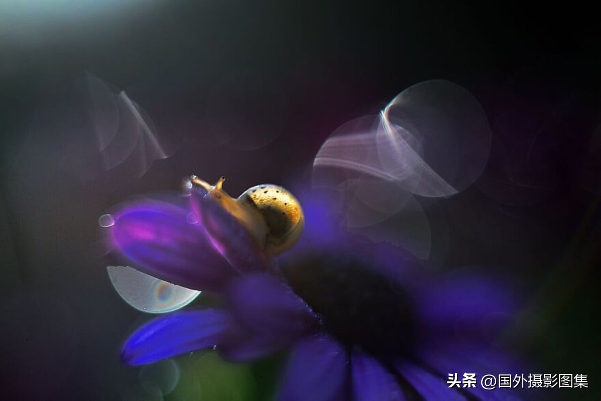 最美的景色秋天照片高清,夏天和秋天的绝美照片