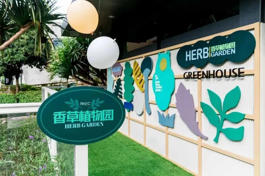 深圳南山国际幼儿园哪家好,南山区国际幼儿园哪家好