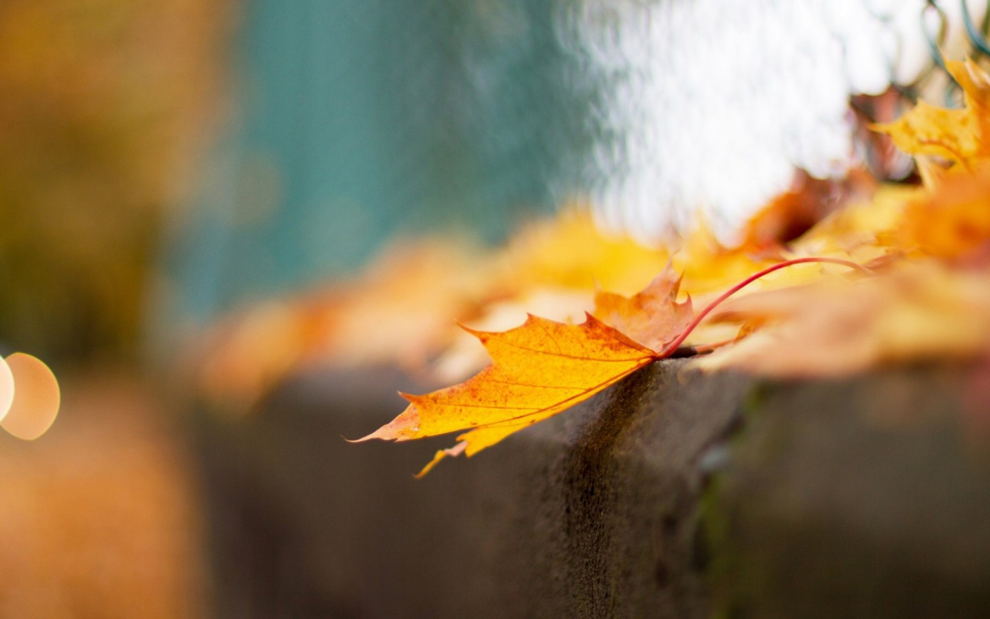 人与人之间最远的距离是阴阳相隔,人与人说话要保持一米以上的距离