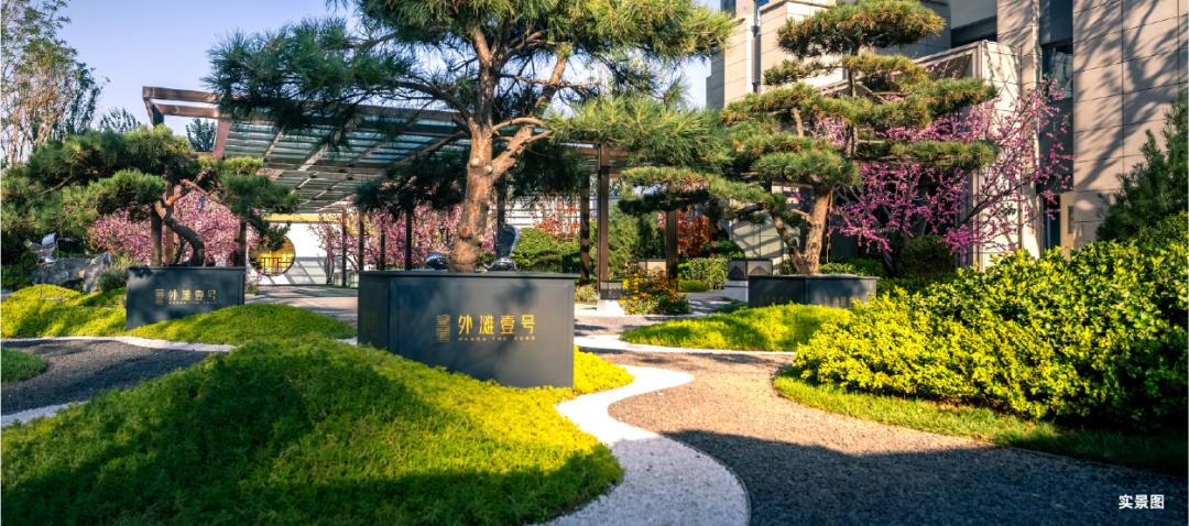 刘爱玲女足中场大师,女足刘爱玲个人简历