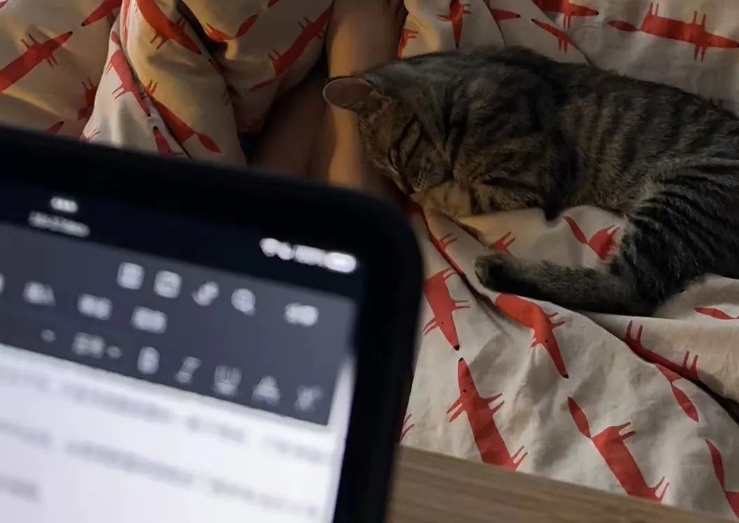 不读研,不读研以后好不好找工作