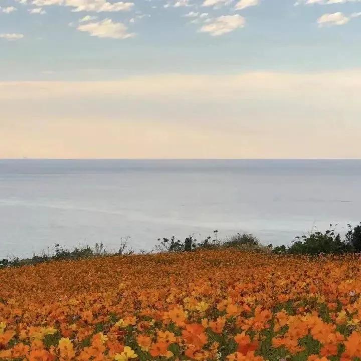 微信朋友圈背景图高清,最新微信素材大全