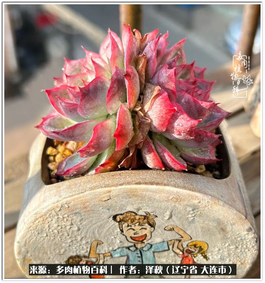 四季轮回之秋天,四季轮回之冬季