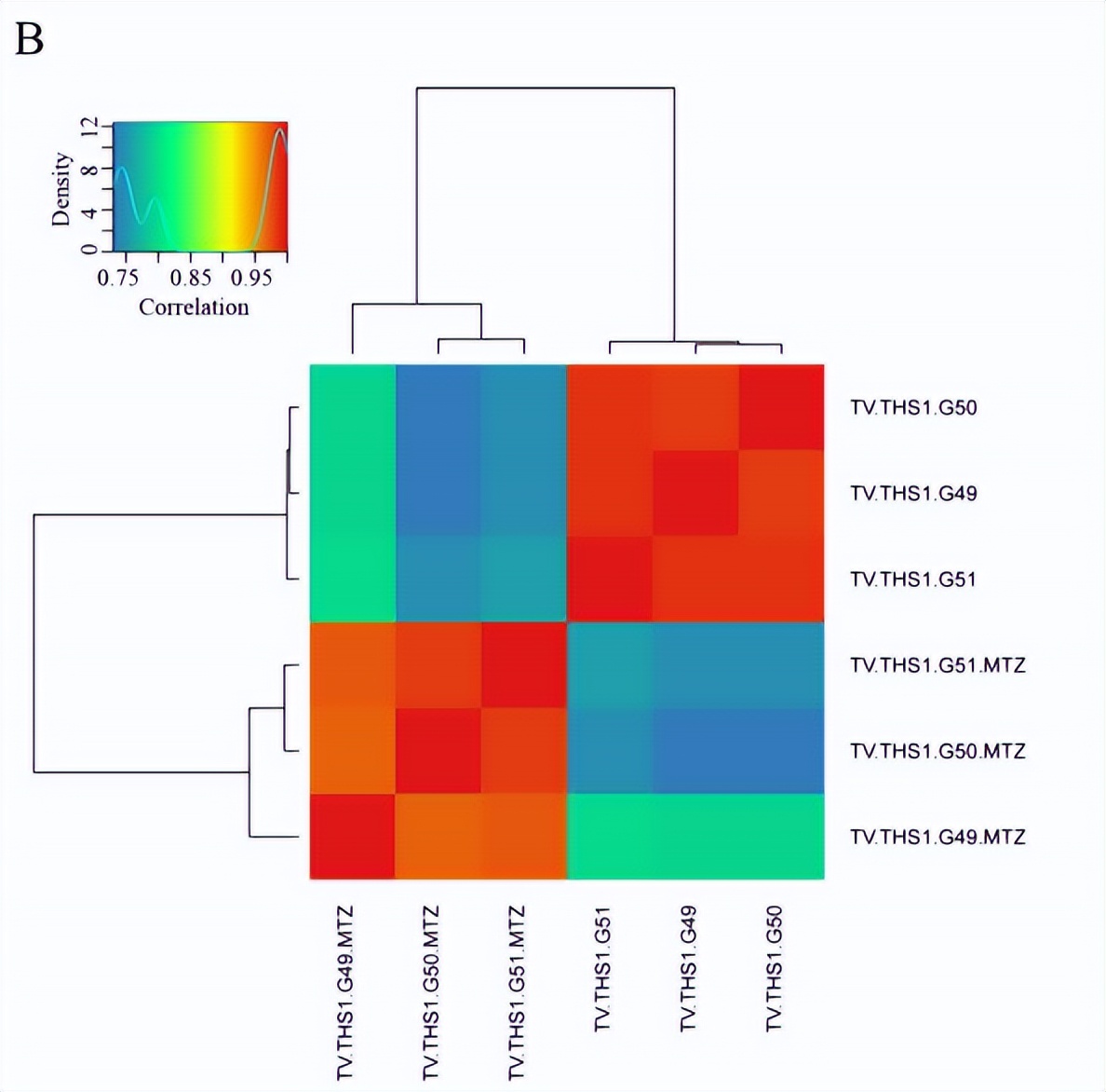 毛滴虫性妇科炎症甲硝唑,治毛滴虫用甲硝唑好还是替硝唑好