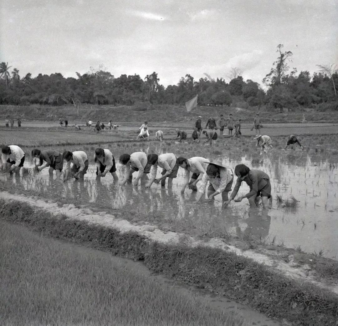 沧州一中回忆录,沧州一中历史简介