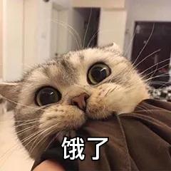 给你讲个睡前故事什么梗,给宝宝讲的睡前小故事