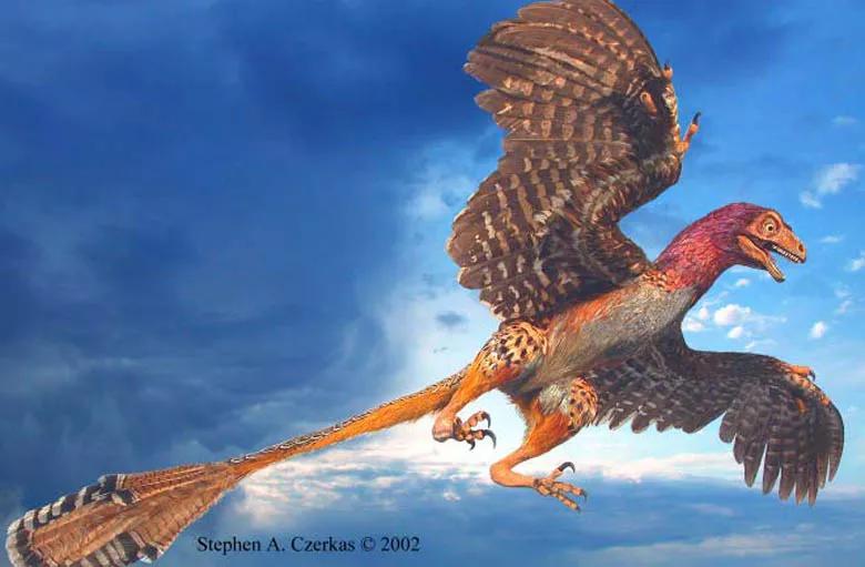 兽脚类恐龙的种类,raptor猛禽恐龙