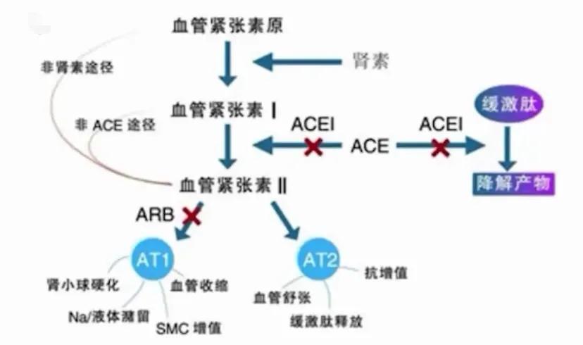 心力衰竭的最新四联疗法,心力衰竭的新四联疗法