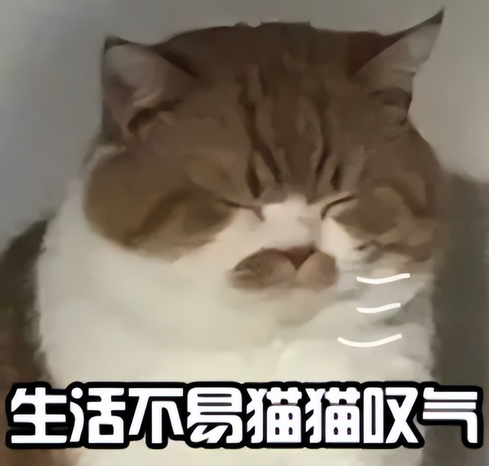 闺蜜欠我100块要催她还吗,闺蜜欠我一千多