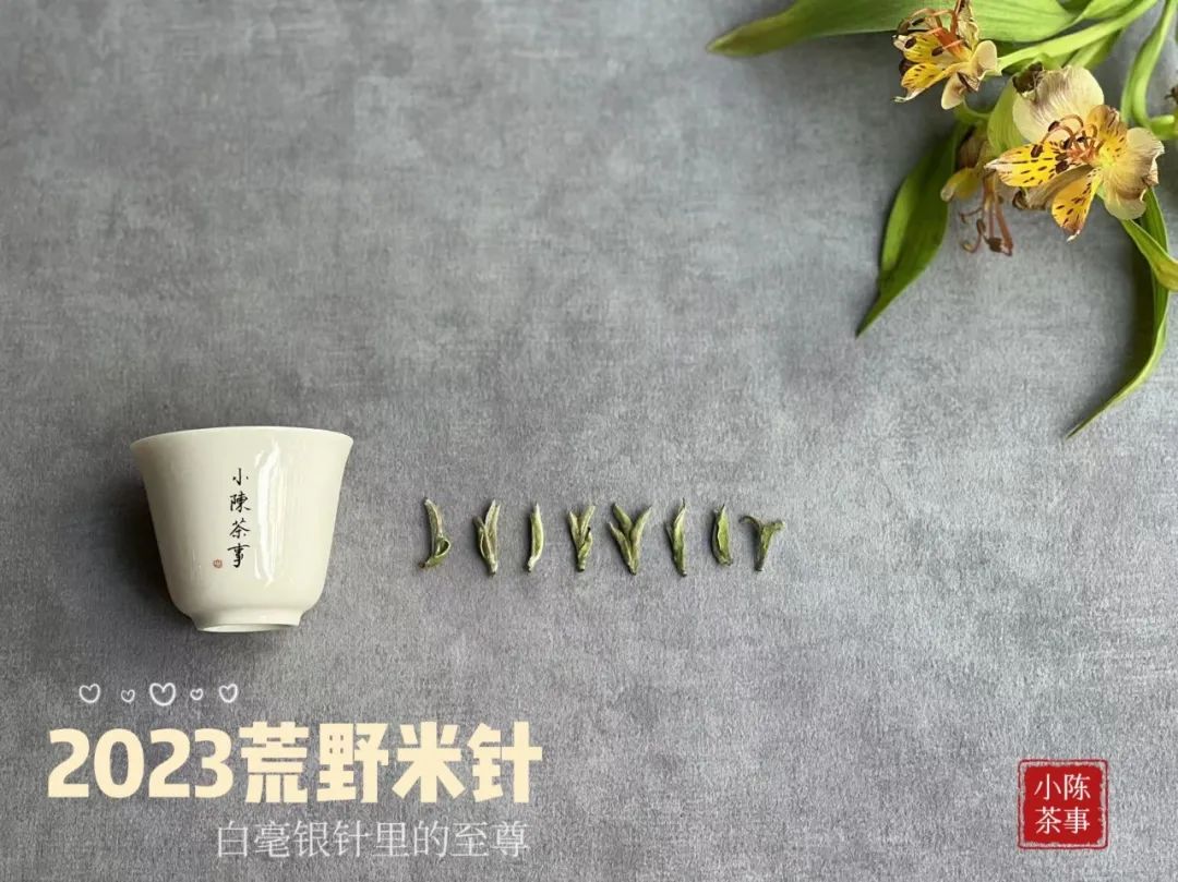 3年的白茶会寒凉吗,新白茶放久了就变成老白茶